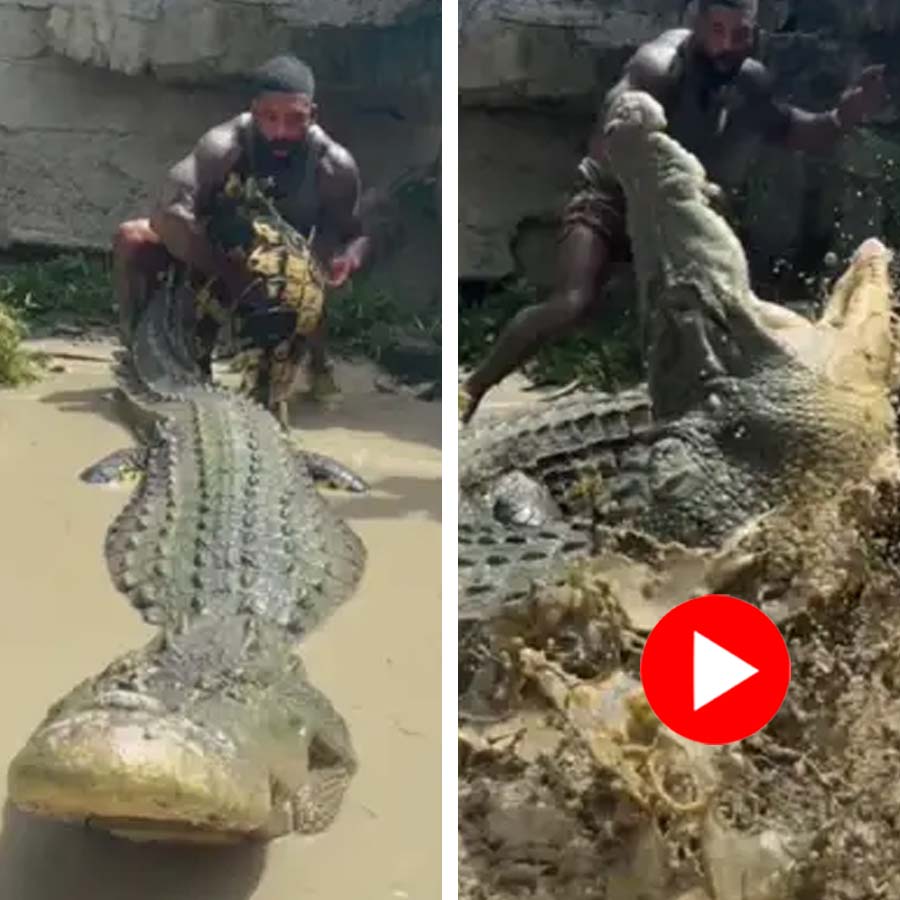 Video shows man enters Crocodile den see what happens next