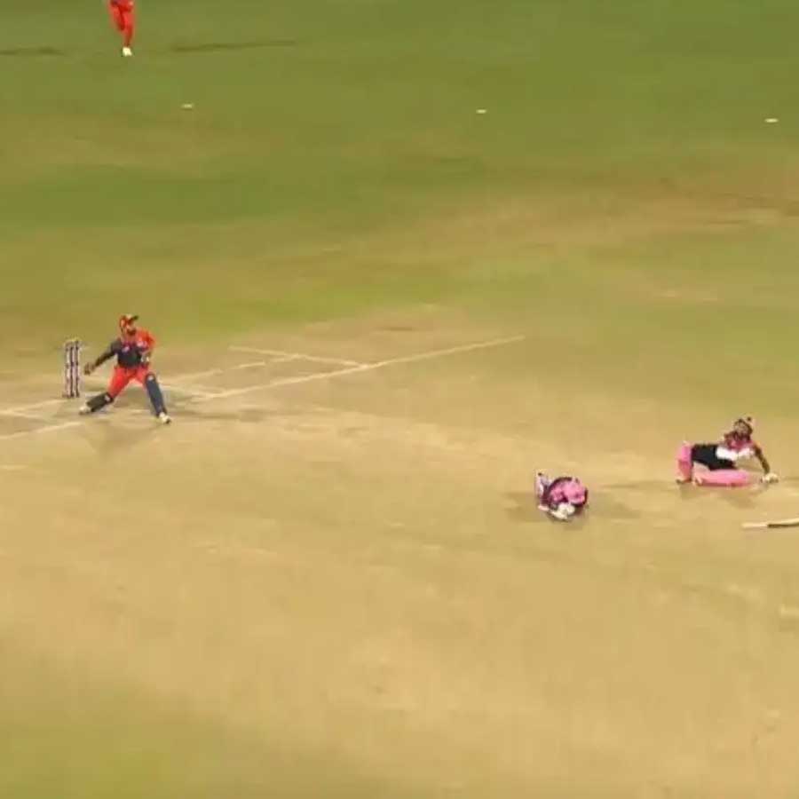 picture of cricket