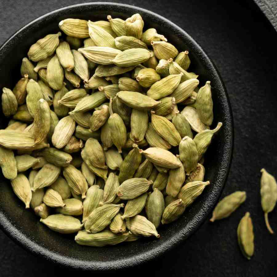 How to grow Cardamom plant at home dgtl