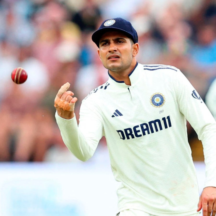 picture of cricket