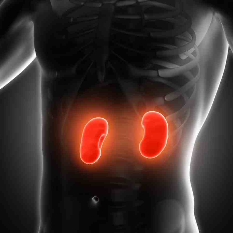 Early warning signs of kidney illnesses that we should not overlook