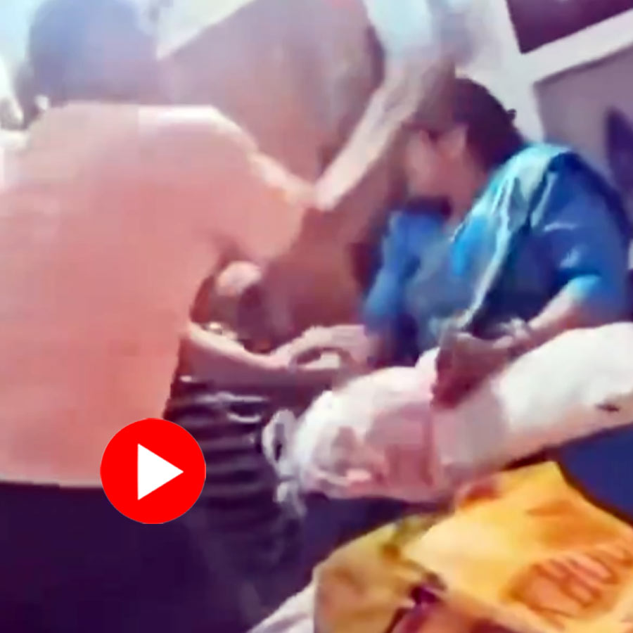 Video shows brawl between husband and wife started, two children trying to stop them