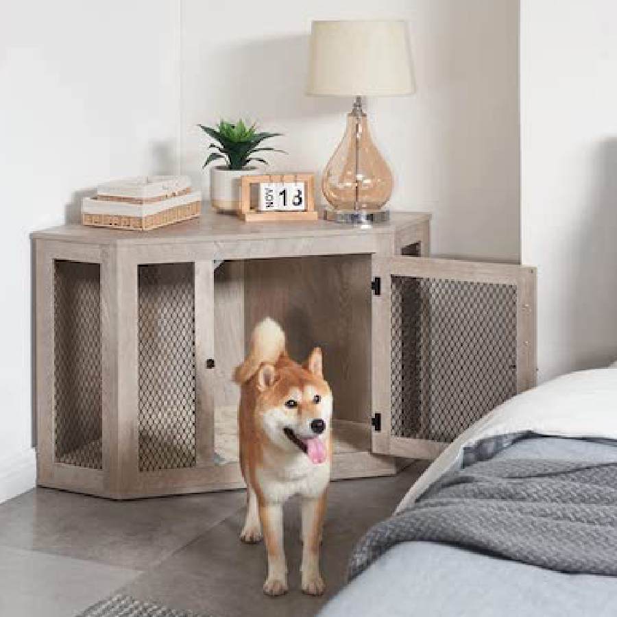 এই ভাবেও পোষ্যের ঘর বানানো যায়।