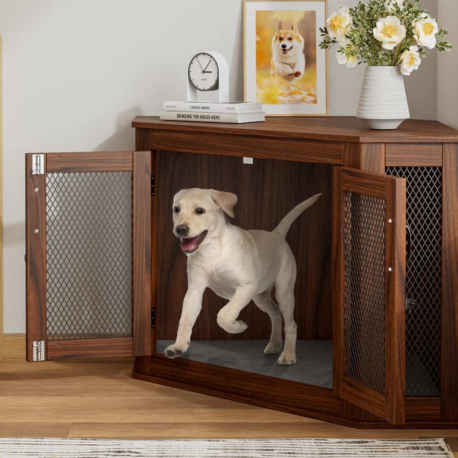 এই ভাবেও পোষ্যের ঘর বানানো যায়।