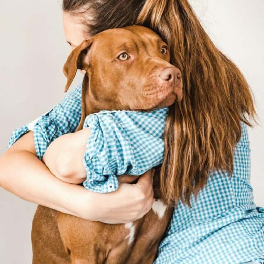 Do not hug your dog because your pet does not like this love gesture