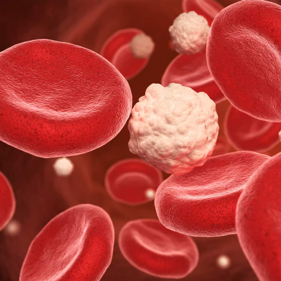 রক্তে চিনির পরিমাণ বাড়লে শরীরে রোগের প্রকোপ বাড়ে!