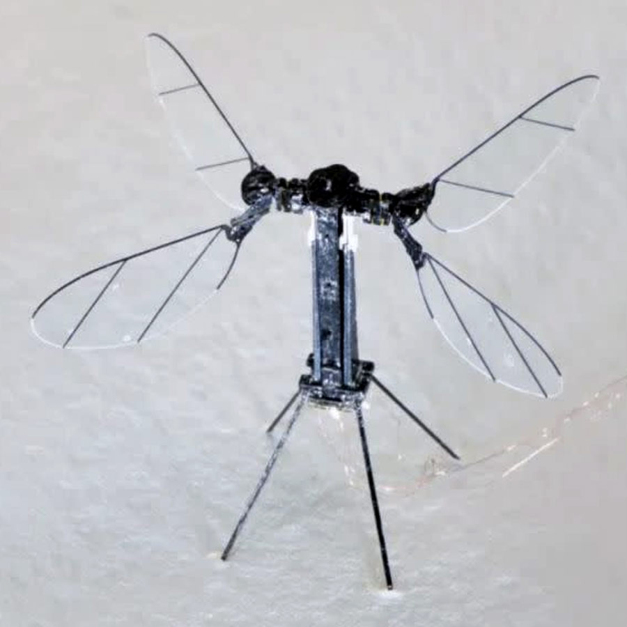 All need to know about Mosquito drone from China and it’s capabilities