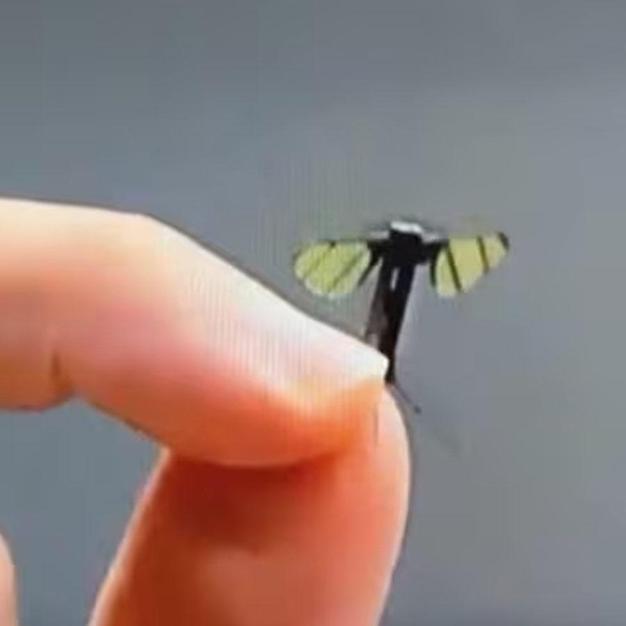 All need to know about Mosquito drone from China and it’s capabilities