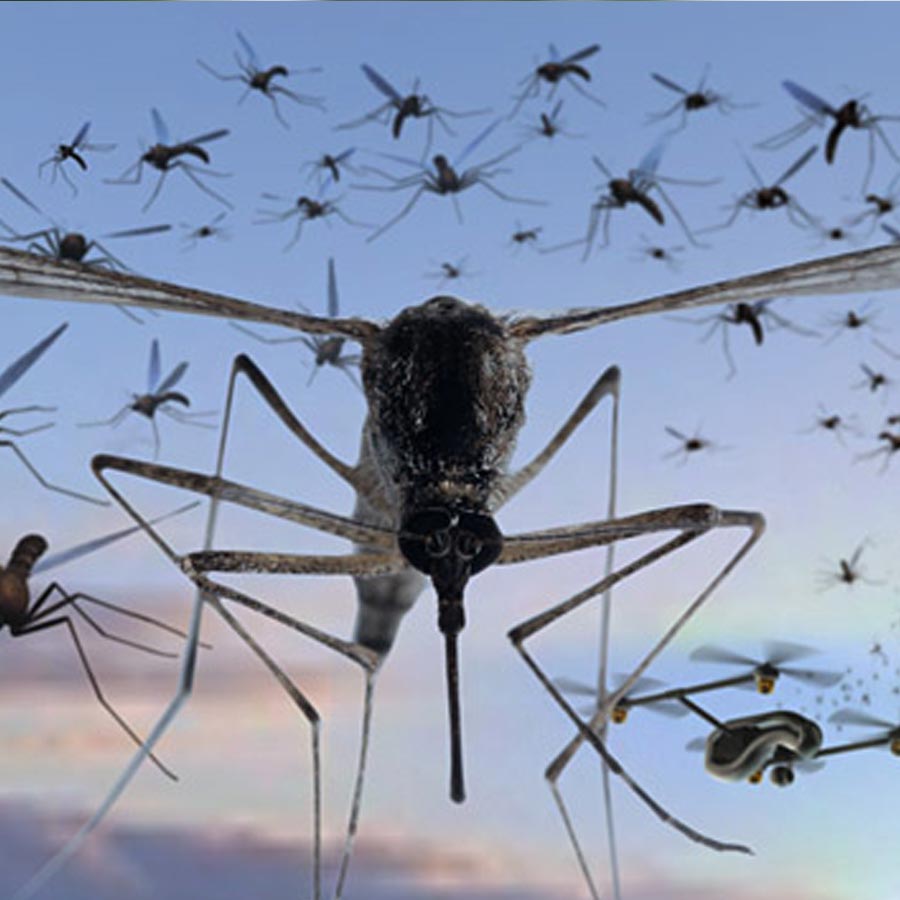 All need to know about Mosquito drone from China and it’s capabilities