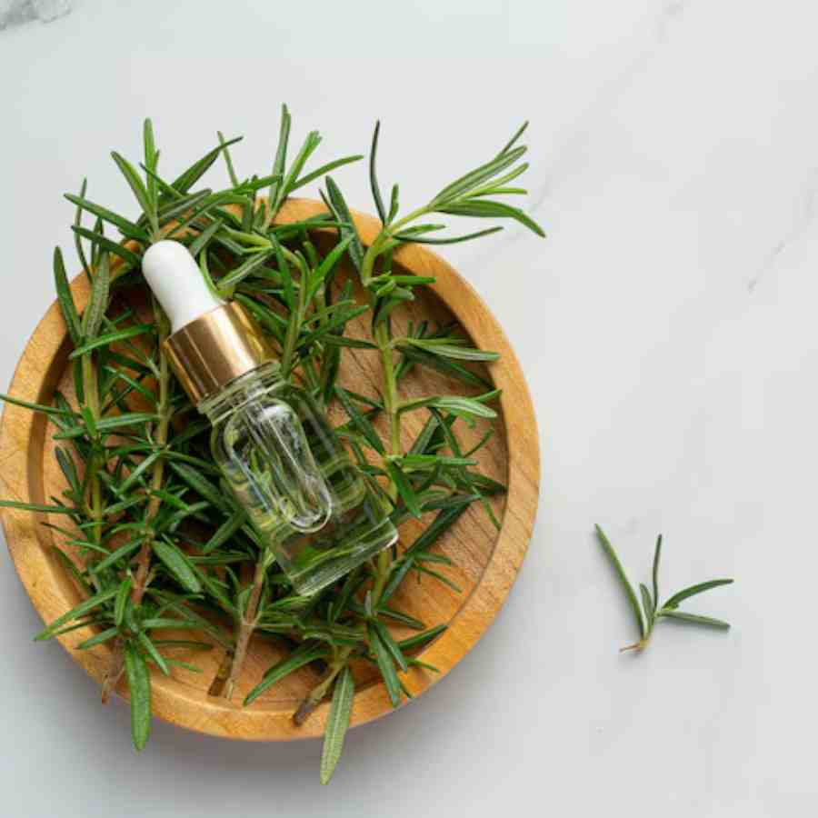 How to make Rosemary hair wash at home dgtl