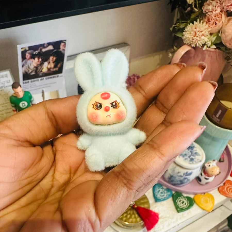 ঋতাভরীর সংগ্রহ।