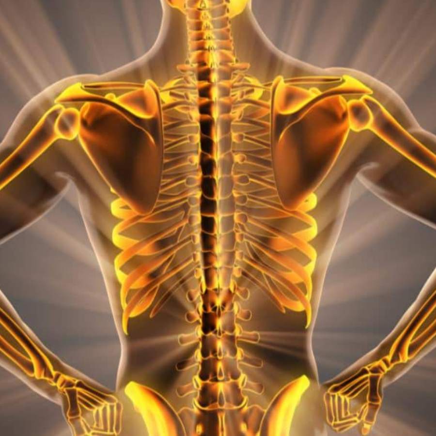 Vitamin K i importan for bone health, 3 foods are enriched in this nutrition dgtl