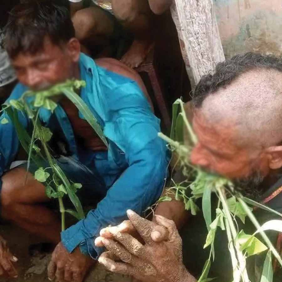 Two Dalit men beaten up and forced to eat grass for transporting cattle in Odisha dgtl