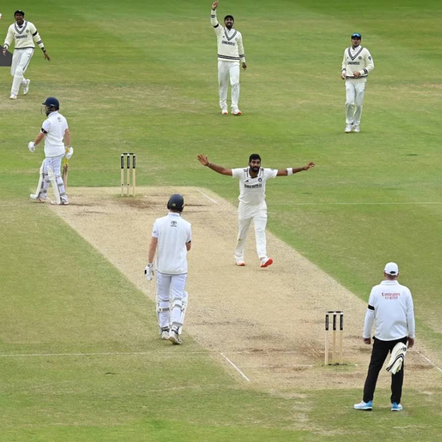 picture of cricket