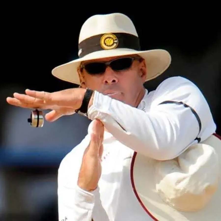 picture of cricket