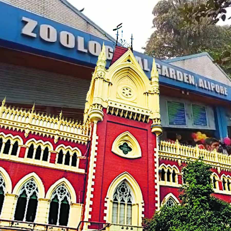 Calcutta High Court give interim stay order over tender process of zoo land dgtl