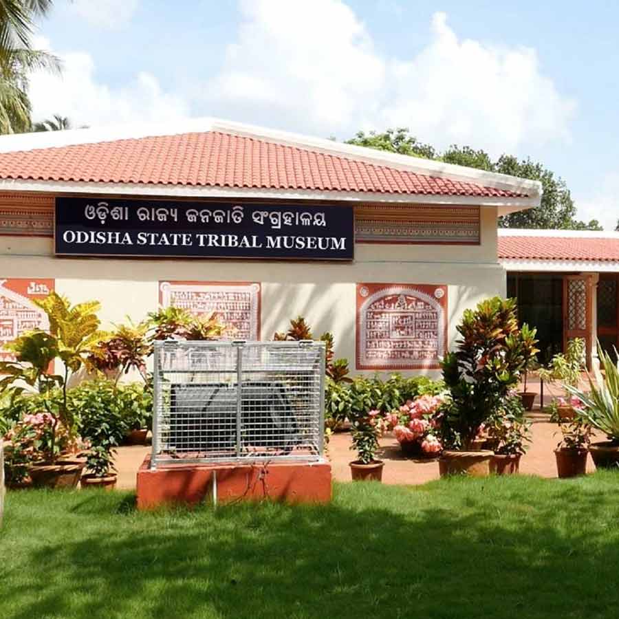 ওড়িশার আদিবাসীদের জনজীবন সম্পর্কে জানতে চাইলে ঘুরে নিন মিউজ়িয়াম।
