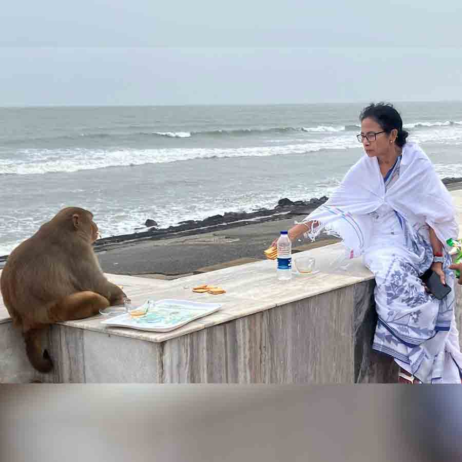 CM Mamata Banerjee seen feeding biscuits a monkey at Digha beach dgtld