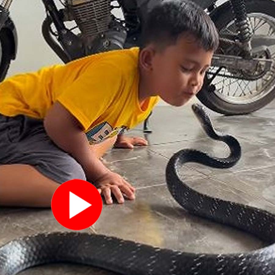 A little boy was seen trying to gulp a long black snake