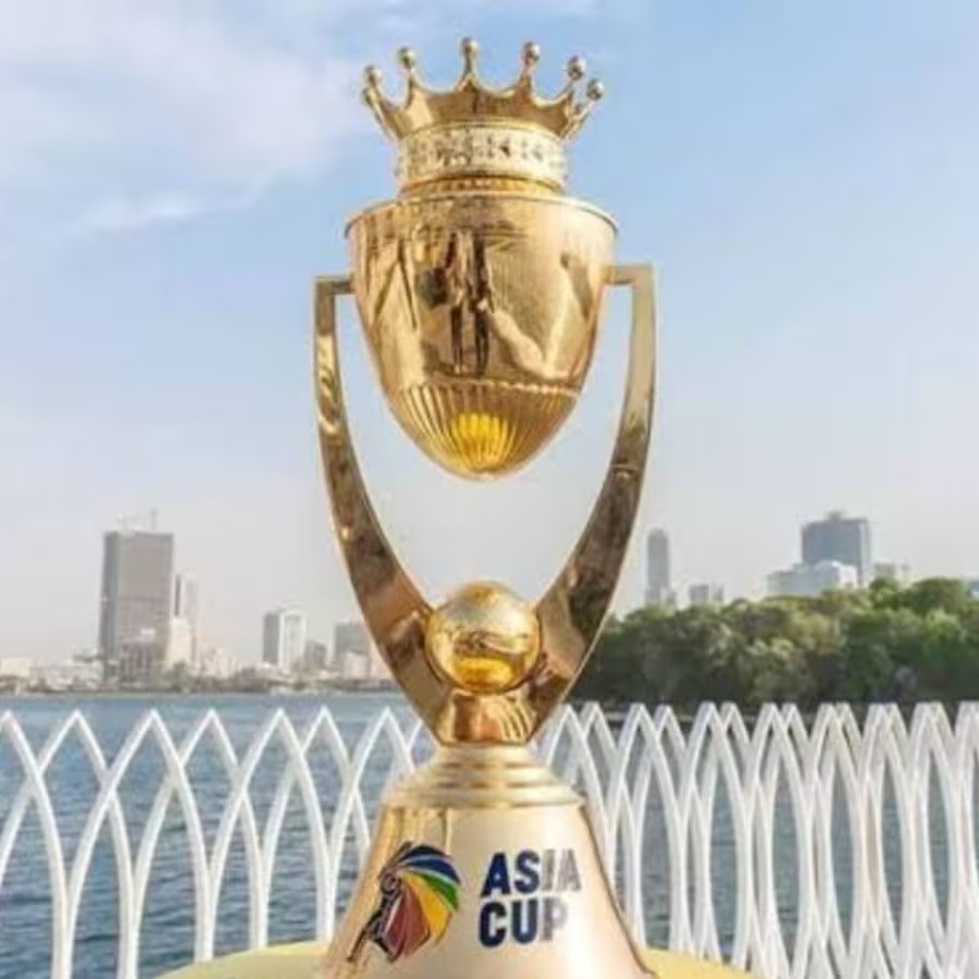 picture of cricket