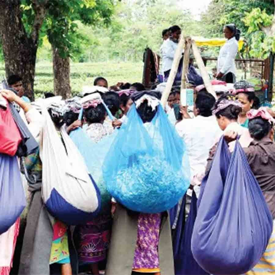Tea auction is starting at the Jalpaiguri tea center soon