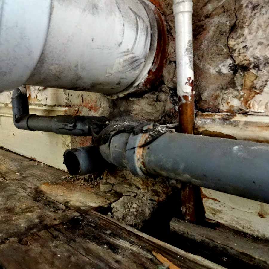 ঘটনাটি ৩৬ বছর আগেকার। ১৯৮৯ সালে জাপানের ডুলু নামের একটি গ্রামের প্রাথমিক স্কুলে পড়াতেন ইউমি টানাকা। স্কুল ছুটির পর এক বার চারদিক টহল দিয়ে বাড়ি ফেরার জন্য প্রস্তুতি নিচ্ছিলেন ইউমি। চোখেমুখে জল দিতে স্কুলের শৌচাগারে যান তিনি। তখনই লক্ষ করেন, শৌচাগারের একটি পাইপের মুখ থেকে একপাটি কালো জুতো উঁকি দিচ্ছে।