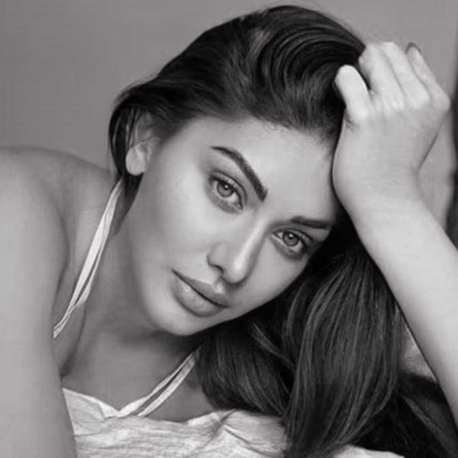 When Shefali Jariwala Talked About Facing Mental Violence In Marriage With Meet Brothers' Harmeet Singh dgtl