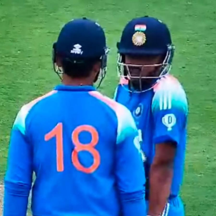 cricket