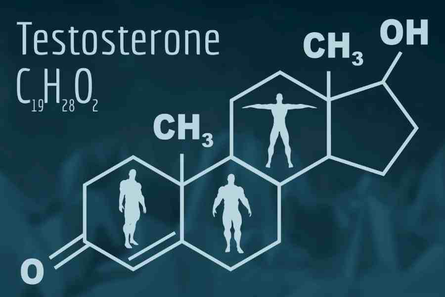 পুরুষের শরীরে টেস্টোস্টেরন হরমোনের গুরুত্ব অনেক।