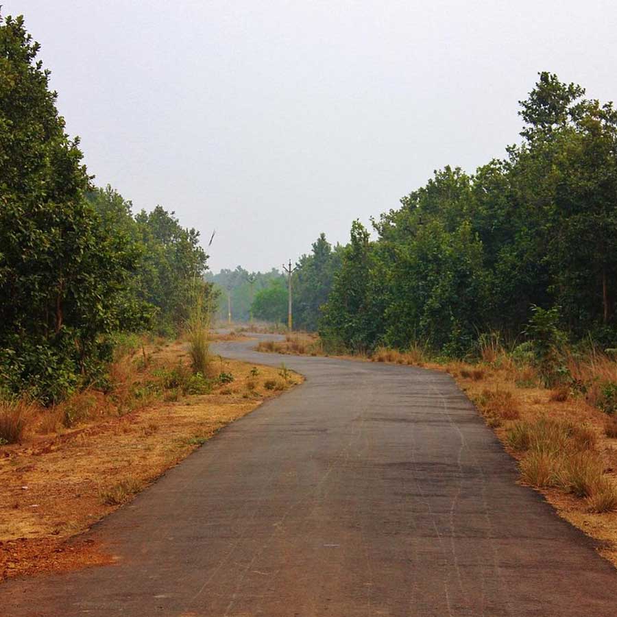 বর্ধমানে চলুন ভালকির জঙ্গলে।