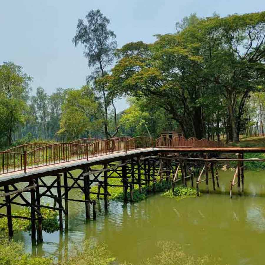 গড় মান্দারনে গাছগাছালি ঘেরা সুসজ্জিত উদ্যান।