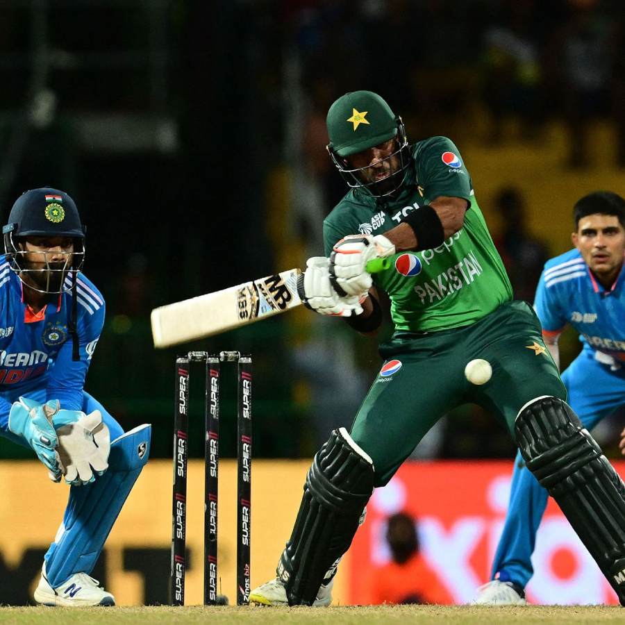 picture of cricket