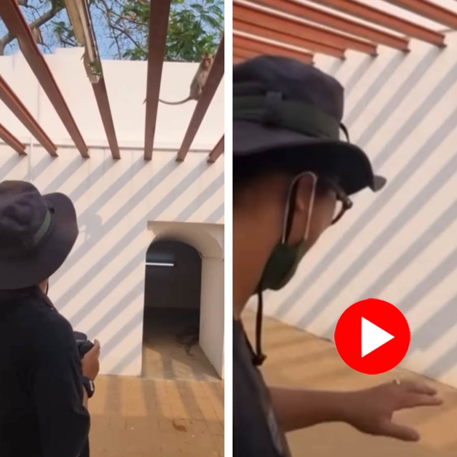 Video of monkey urinating on photographer’s arm during graduation shoot in Thailand dgtl