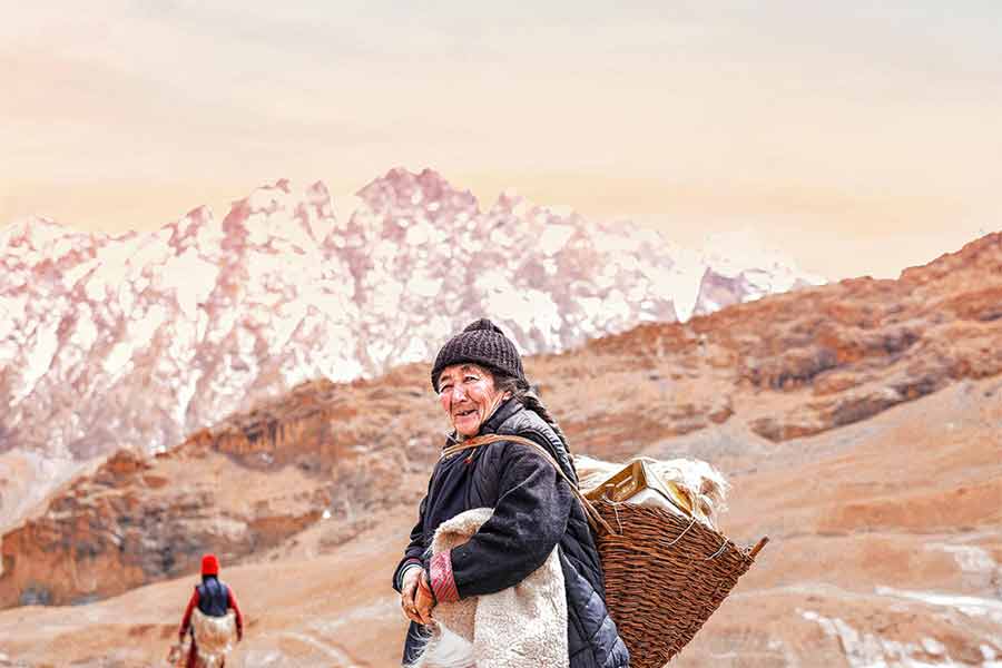 The life style of the nomadic pastoralists of Ladakh is currently endangered