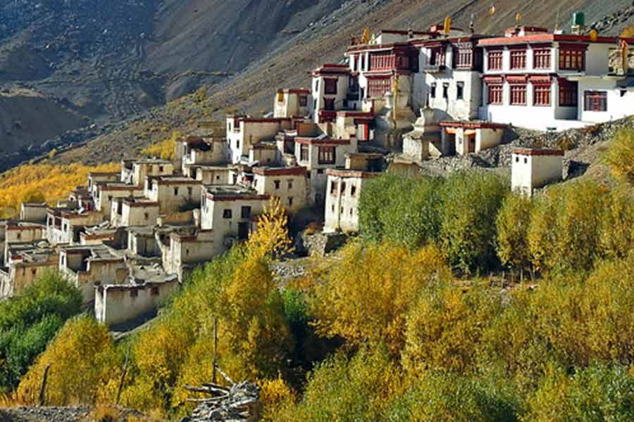 European women travel to ladakh to get impregnated
