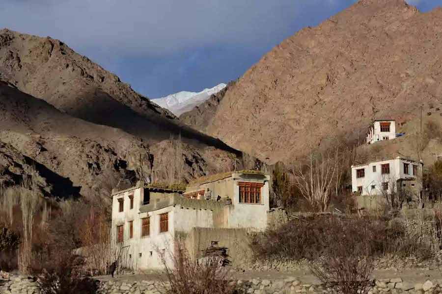 European women travel to ladakh to get impregnated