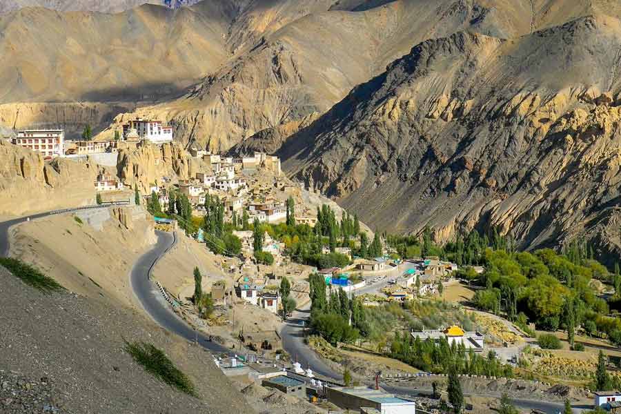 European women travel to ladakh to get impregnated
