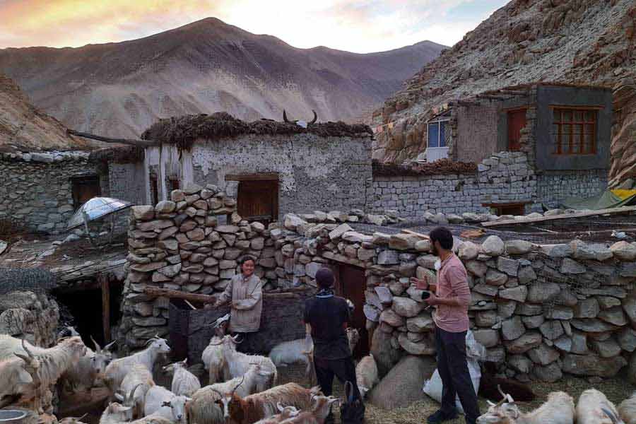 European women travel to ladakh to get impregnated