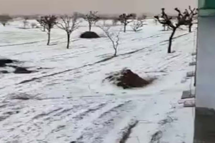 Hailstorm in Rajasthan