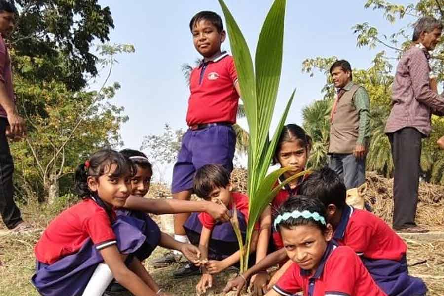 A school in South 24 Parganas has been asked to plant saplings as admission fee