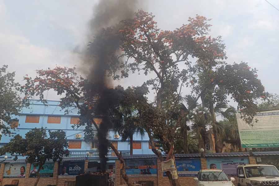 খোদ সরকারি ভবনের সামনেই পলাশ ফুলে পড়ছে ঘন কালো ধোঁয়ার আস্তরণ।