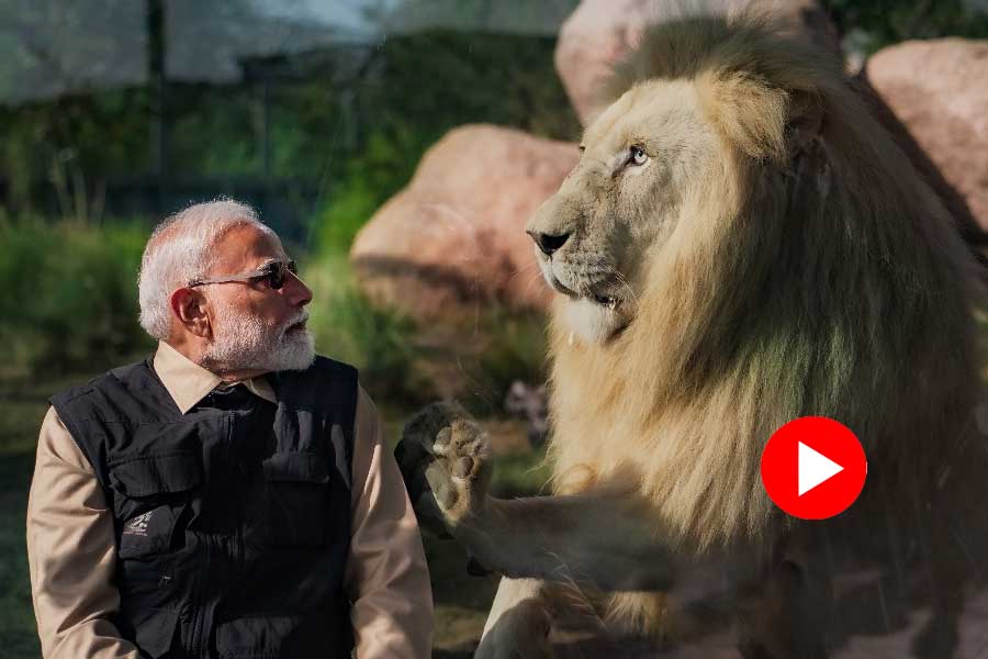 PM Narendra Modi inaugurated and visited wildlife rescue, rehabilitation, and conservation centre Vantara in Gujarat