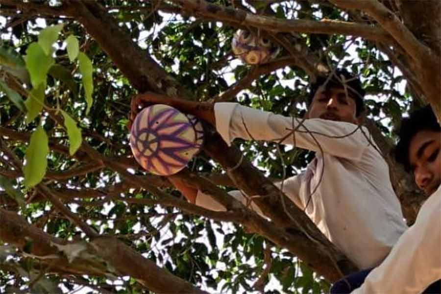 School Studnets built nests for birds at Ausgram