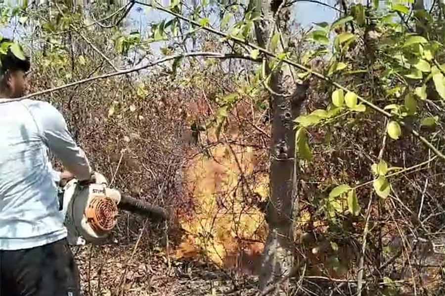 Fire in Shushunia Hill dgtld