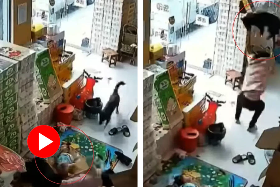 Video of father saves child from stray dog goes viral
