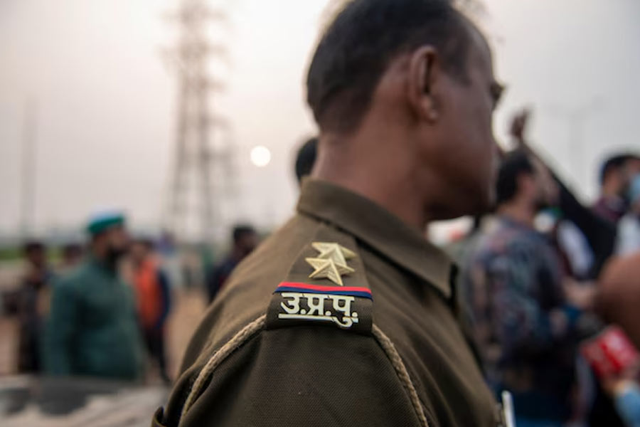 Woman, friends burn cat alive after it crosses their path in Uttar Pradesh dgtl