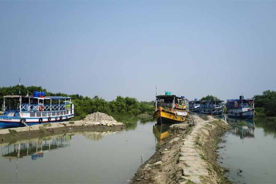 Sundarbans tourism in jeopardy in this Dol Yatra
