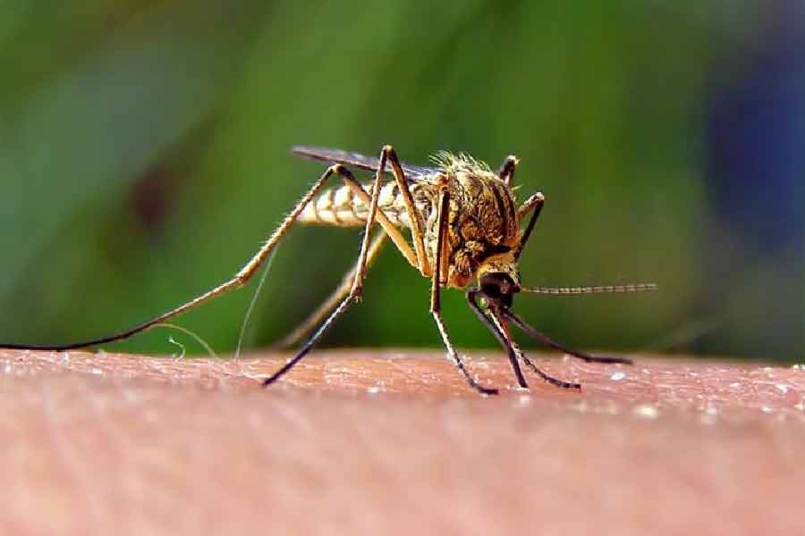 Prevention is better than cure