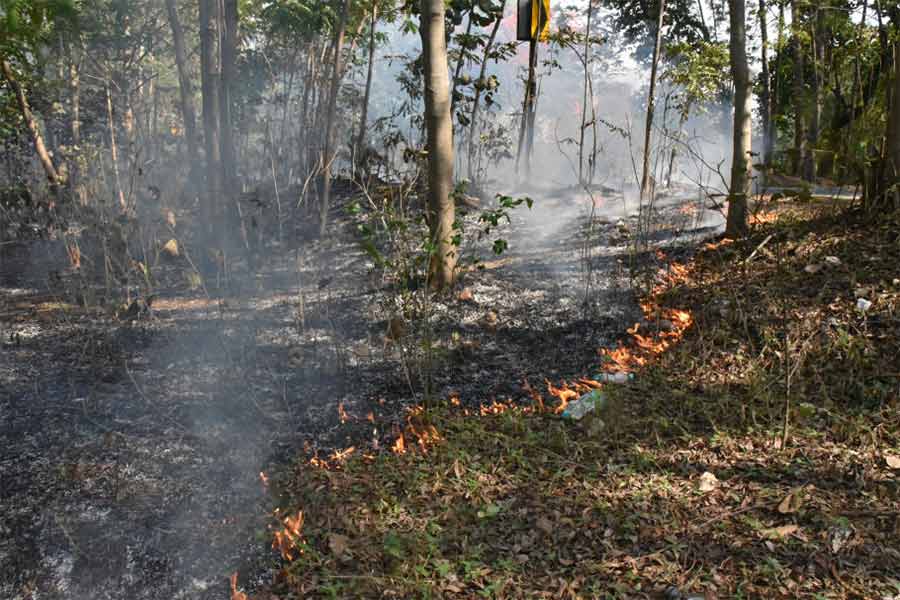 Forest areas of bandwan caught fire, Negligence of Forest Department reported