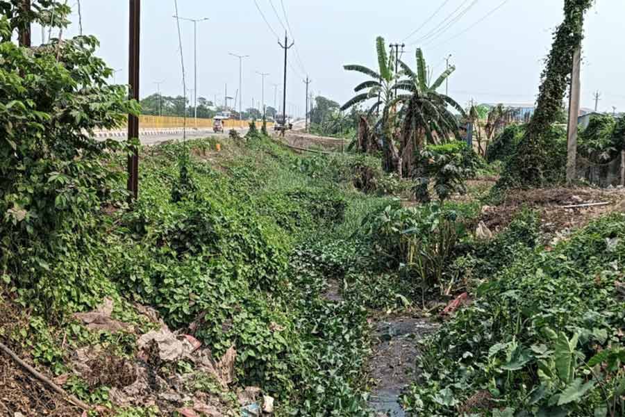 Complain of farmers and local residents regarding a canal thai is affecting agriculture in the area